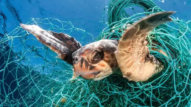 Denizlerdeki Plastik Artışı, 60 Senelik Verilerce Onaylandı Denizlerdeki Plastik Artışı, 60 Senelik Verilerce Onaylandı