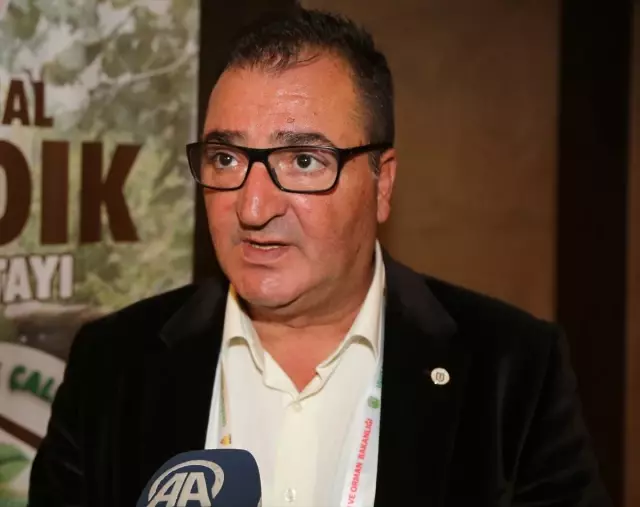 Fındık İçin En Büyük Tehlike Kahverengi Kokarca