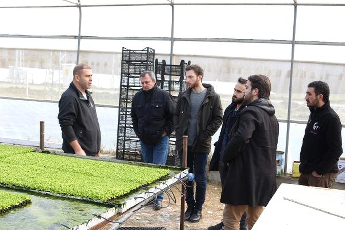 Topraksız Tarım Eğitim Programı' Başlıyor