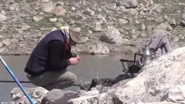 Kafesten Kaçan Balıklar Amatör Balıkçıları Sevindirdi Kafesten Kaçan Balıklar Amatör Balıkçıları Sevindirdi