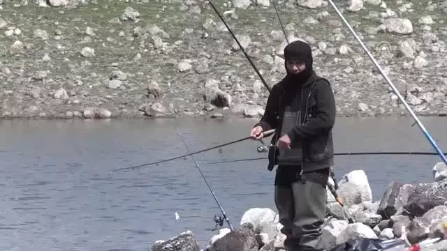 Kafesten Kaçan Balıklar Amatör Balıkçıları Sevindirdi Kafesten Kaçan Balıklar Amatör Balıkçıları Sevindirdi