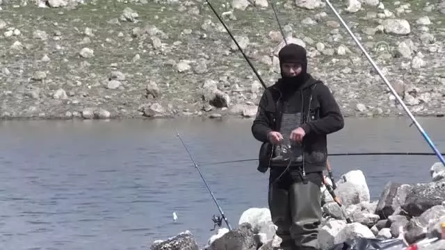 Kafesten Kaçan Balıklar Amatör Balıkçıları Sevindirdi Kafesten Kaçan Balıklar Amatör Balıkçıları Sevindirdi