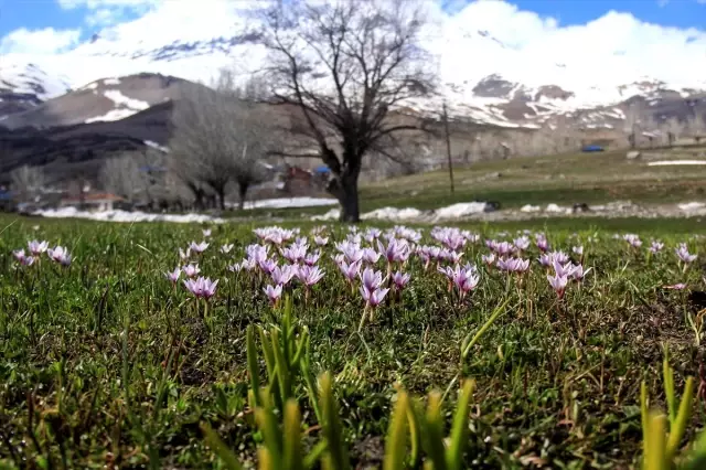 Doğu'da Bir Günde 4 Mevsim