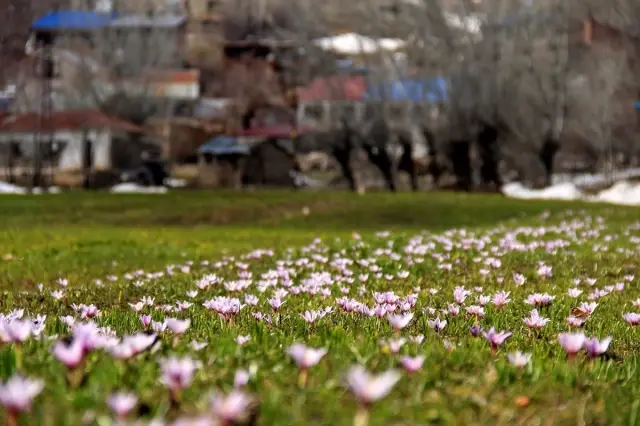 Doğu'da Bir Günde 4 Mevsim