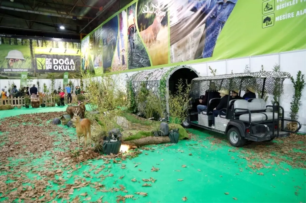 23 Nisan Çocukları, Ormanya'da Safari Deneyimi Yaşadı