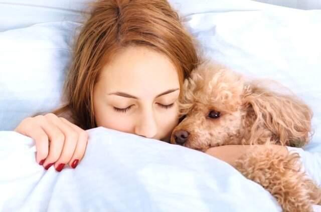 ABD'de Yapılan Bir Araştırma Sonucunda Kadınlar İçin Bir Köpekle Uyumanın Bir Erkekle Uyumaktan Daha İyi Olduğu Ortaya Çıktı