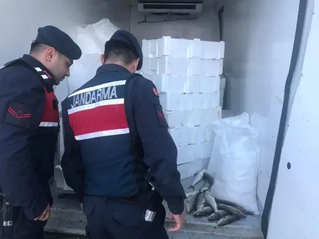 Bursa'da Kaçak Balık Avcılığına Geçit Yok