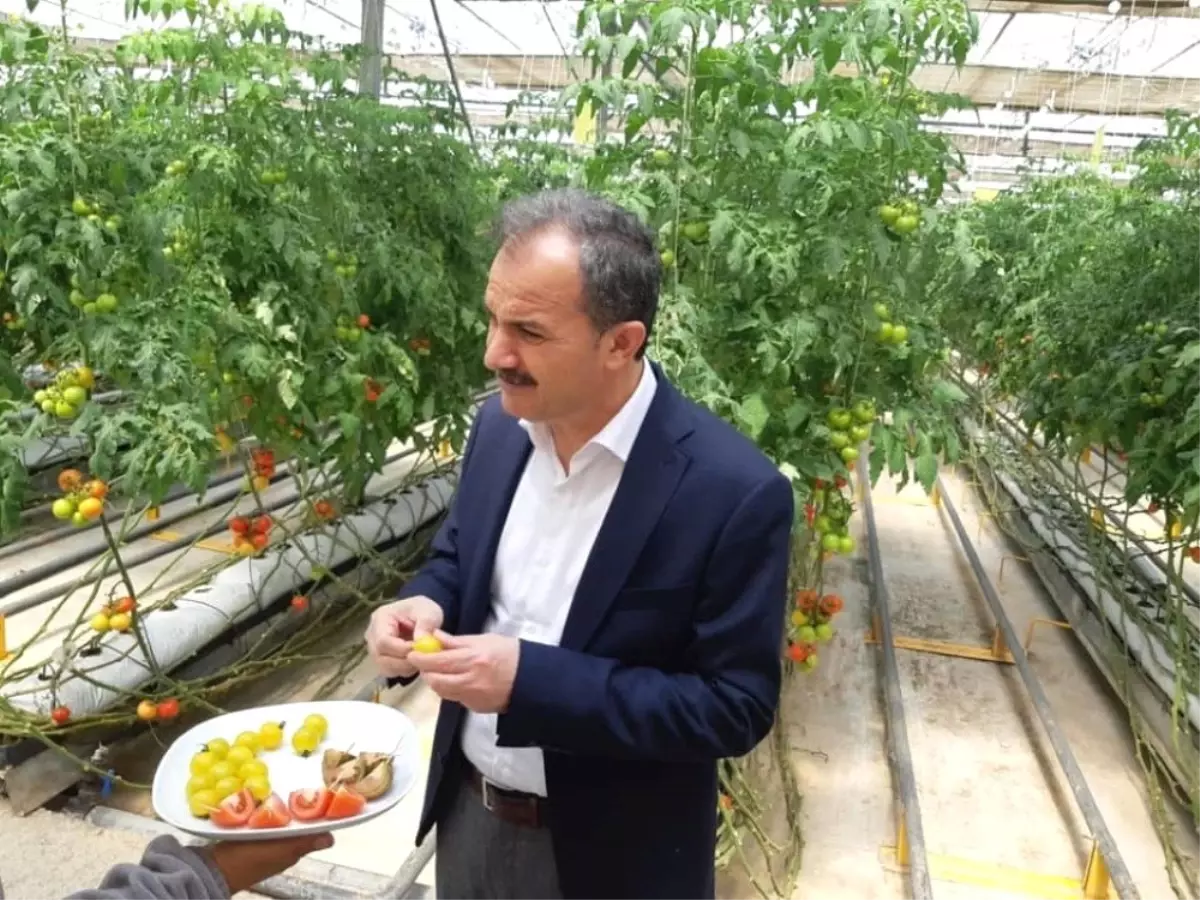 Başkan Kılınç, Ankara'da Katı Atık Tesislerini İnceledi