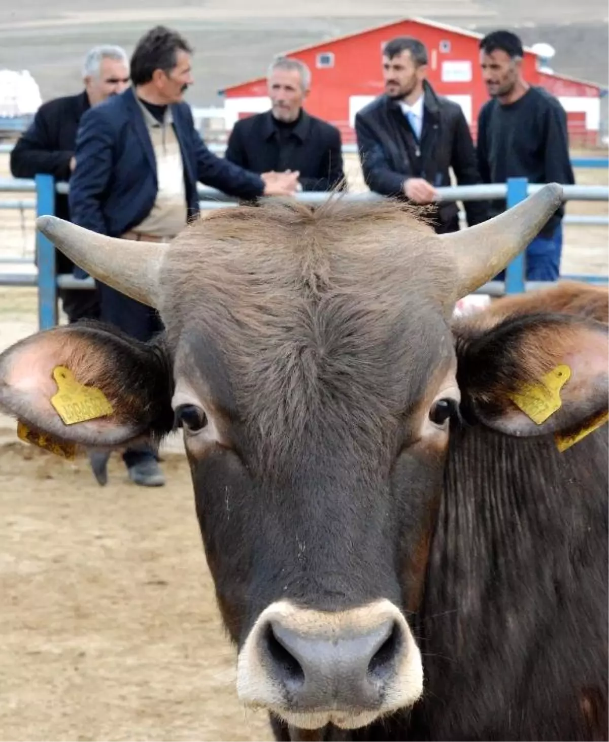 Çiftçiler Sosyal Medyadan Dolandırılıyor