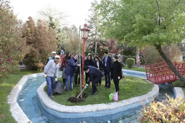 Kadim Dost Güney Kore'den Kardeşlik Adımı Kadim Dost Güney Kore'den Kardeşlik Adımı