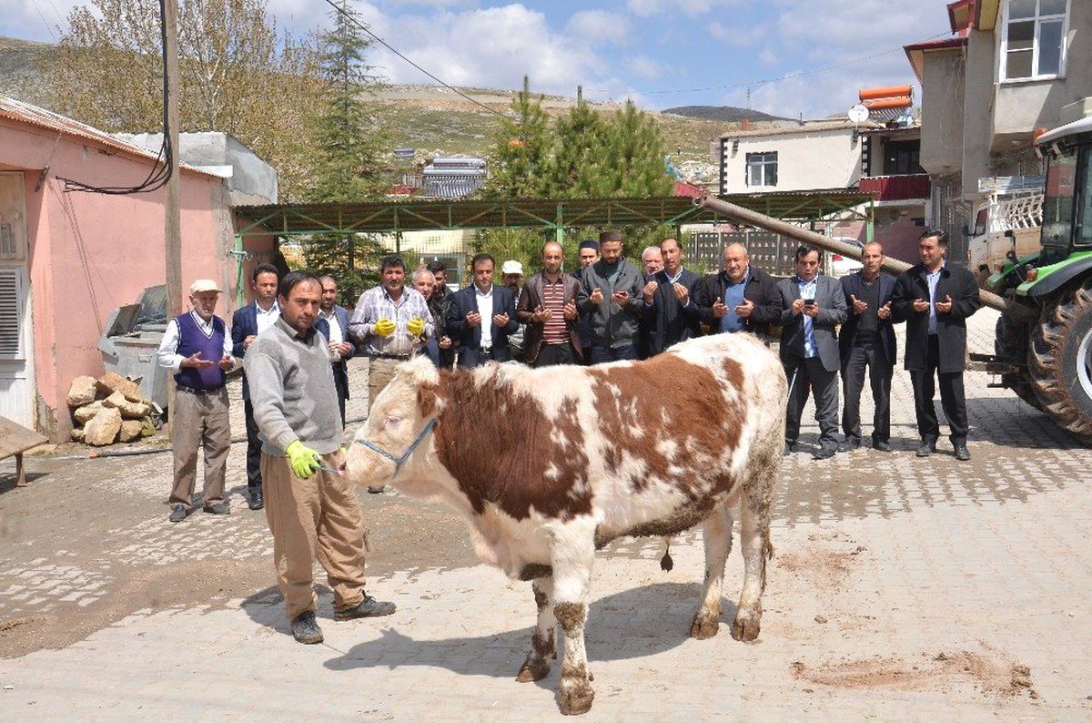 Mahalle Sakinleri, Bereket ve Bolluk İçin Kurban Kesti
