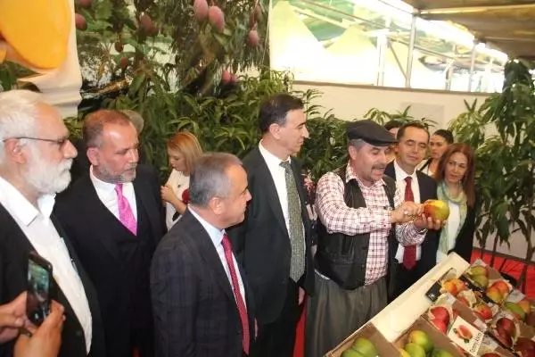 Yerli Mango Üreticiye Tanıtıldı Yerli Mango Üreticiye Tanıtıldı