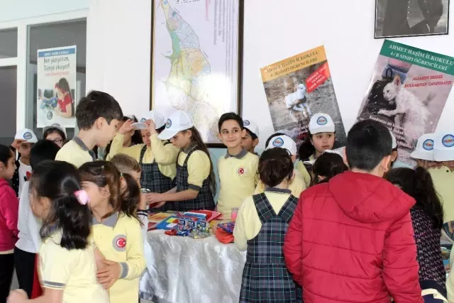 Minik Öğrenciler, Sokak Hayvanları İçin Kermes Düzenledi Minik Öğrenciler, Sokak Hayvanları İçin Kermes Düzenledi