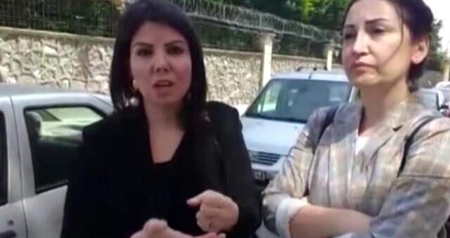 Anne ve Yavru Kediler Öldürülmüş Halde Bulundu