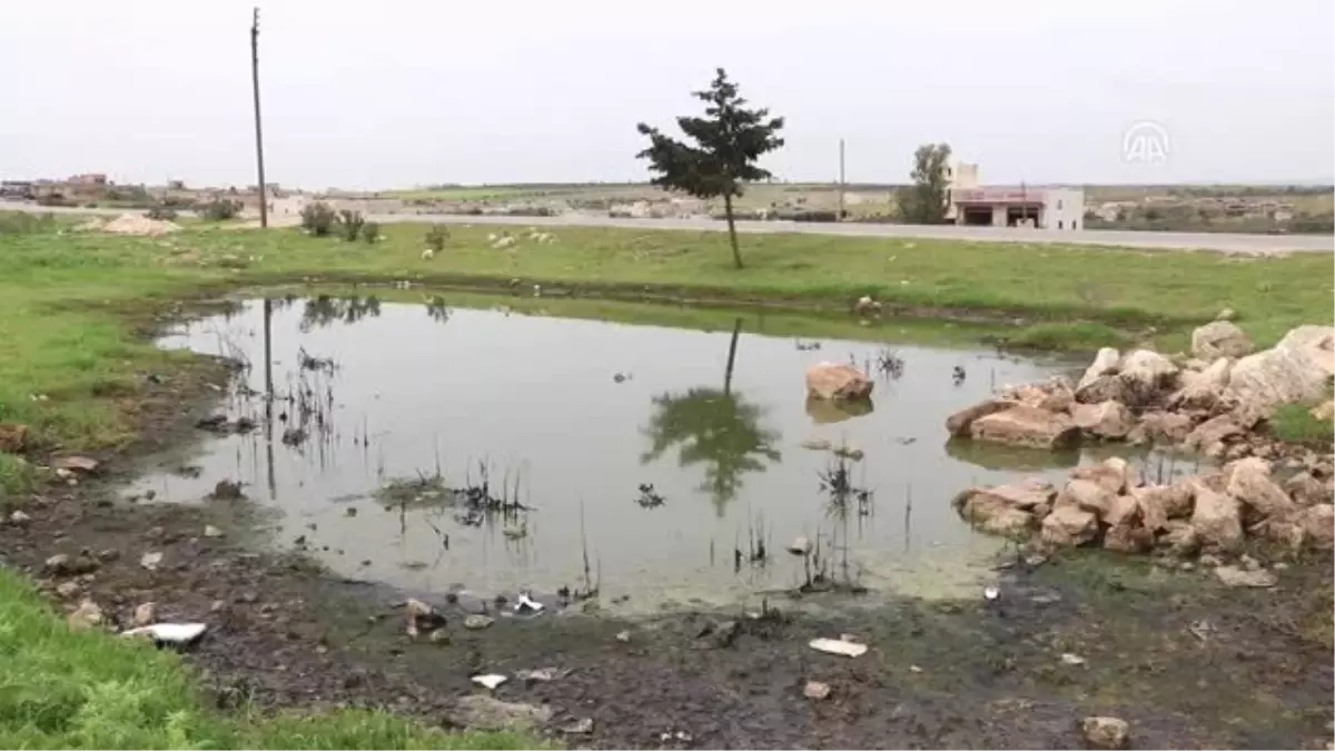 İdlib'de Şark Çıbanı Tehlikesi Baş Gösterdi