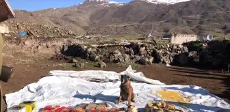 agri dagi nda teror operasyonu