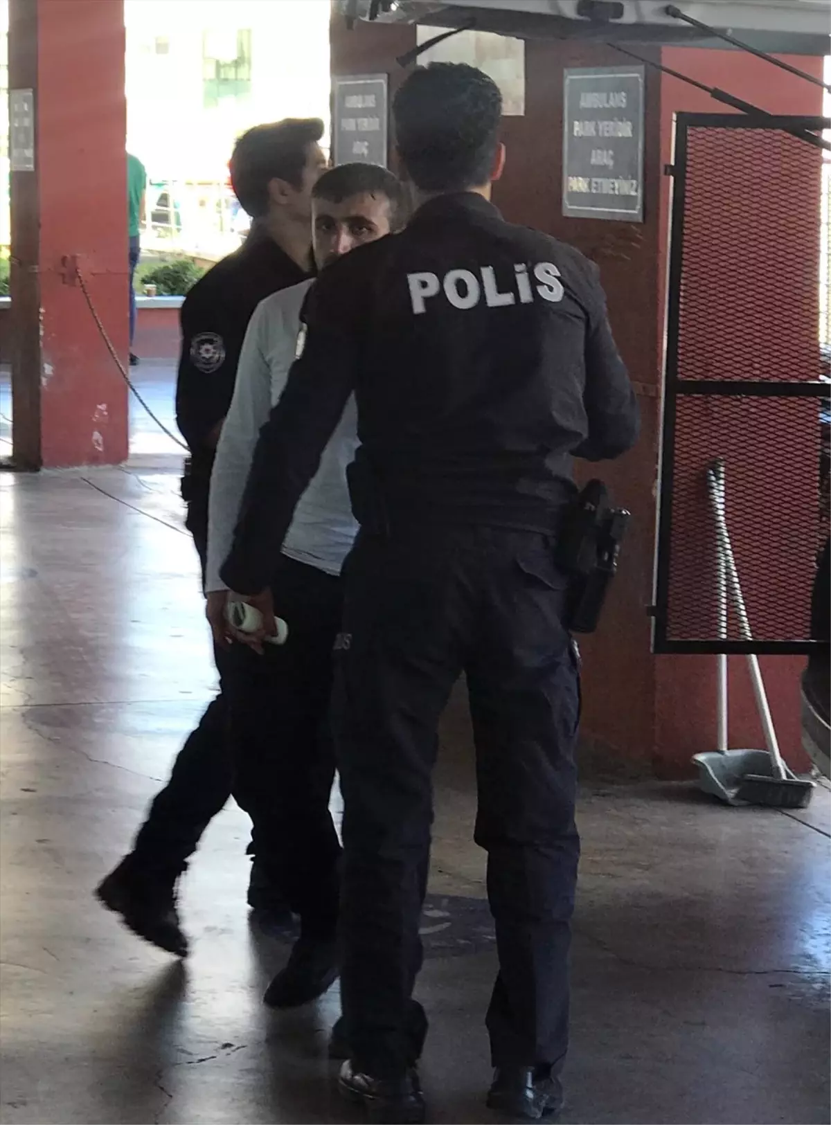 İzmir'de Kedi Yuvasının Yakılması