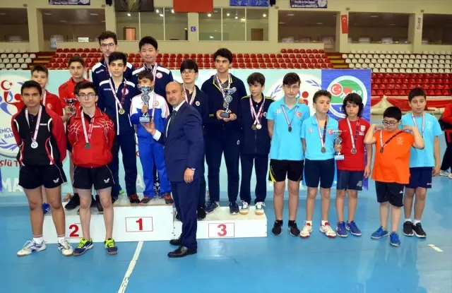 Masa Tenisi Yıldızlar Takım ve Ferdi Türkiye Şampiyonası