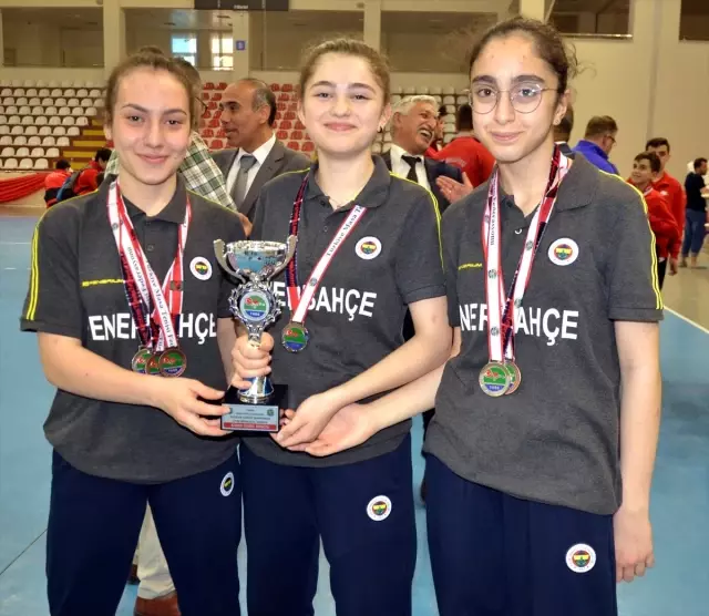 Masa Tenisi Yıldızlar Takım ve Ferdi Türkiye Şampiyonası