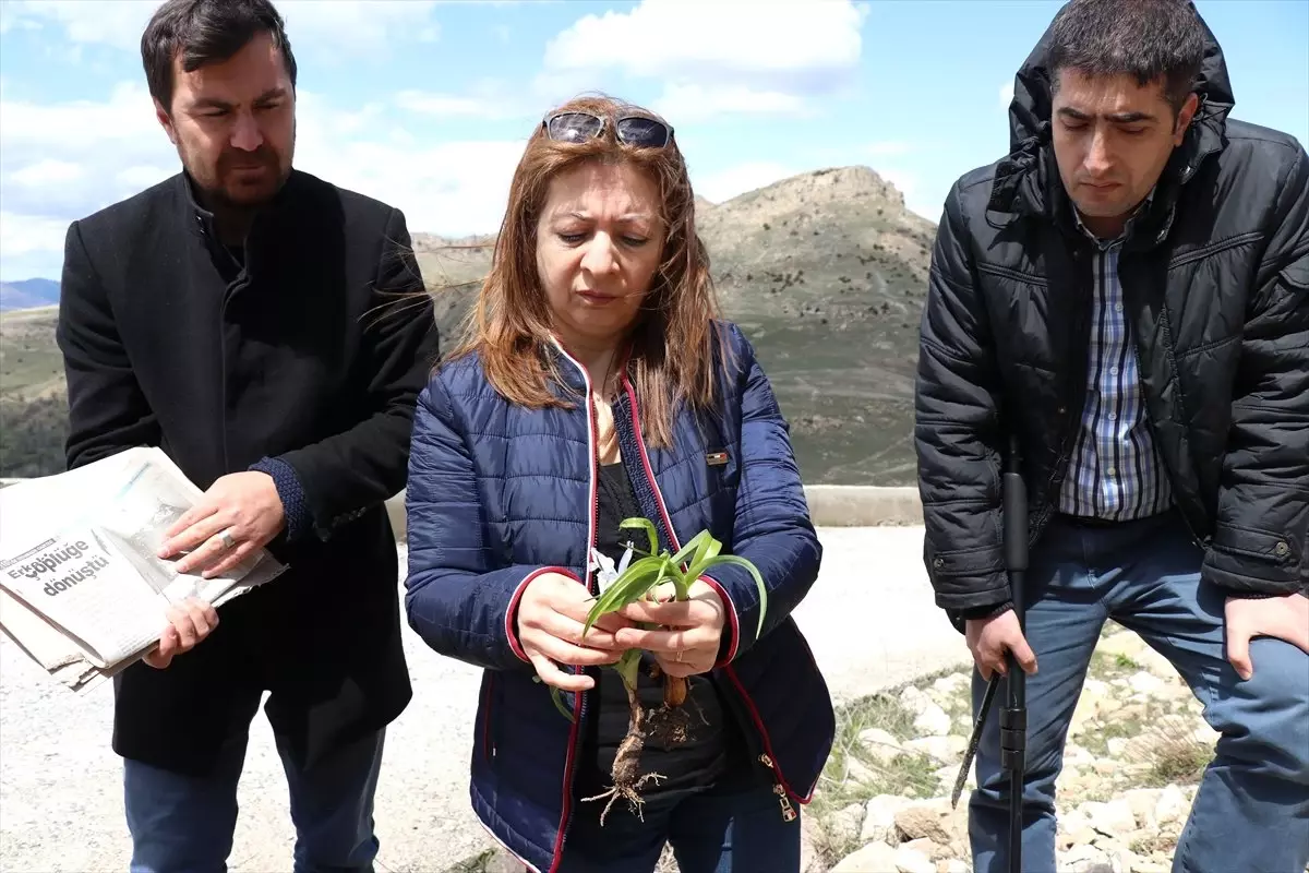 Endemik Çiçeklerin Kadim Kent Diyarbakır'da Görsel Şöleni
