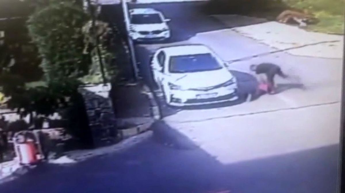 Erik Çekirdeği Yüzünden Çocuğu Öldüresiye Döven Cani Tutuklandı