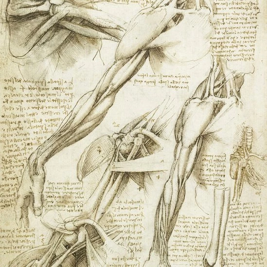 Leonardo da Vinci Ölümünün 500. Yılında İcatları Zamana Meydan Okuyan