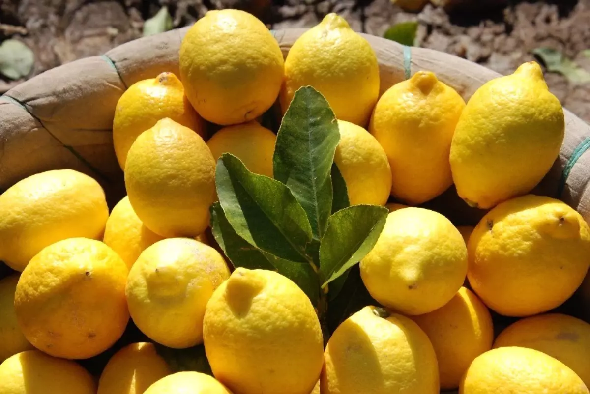 Mersin ve Adana'nın Nisan Ayı Enflasyonu Yüzde 21,52