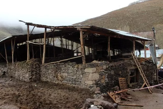 Erzurum'da Ahır Çöktü: 2 Ölü 6 Yaralı Erzurum'da Ahır Çöktü: 2 Ölü 6 Yaralı