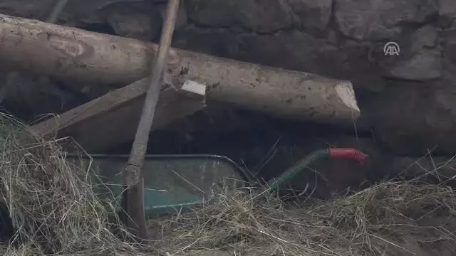 Erzurum'da Bir Ahırın Çatısı Çöktü: 2 Ölü, 6 Yaralı (4) Erzurum'da Bir Ahırın Çatısı Çöktü: 2 Ölü, 6 Yaralı (4)