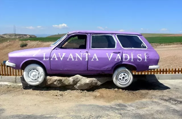 Kırıkkale'de Lavanta Vadisi Açıldı