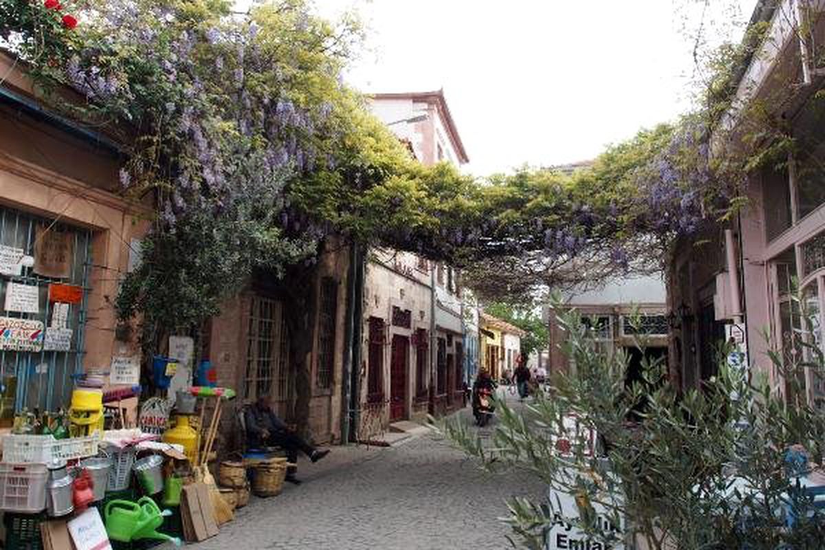 Ayvalık'ta Mor Salkım Güzelliği