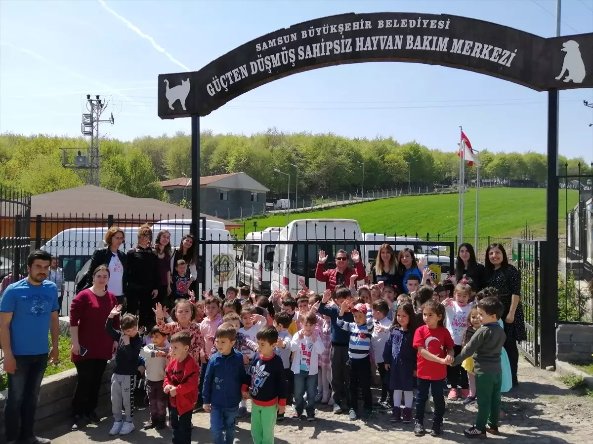 Kavak'ta 'Hayvan Sevgisi' Projesi
