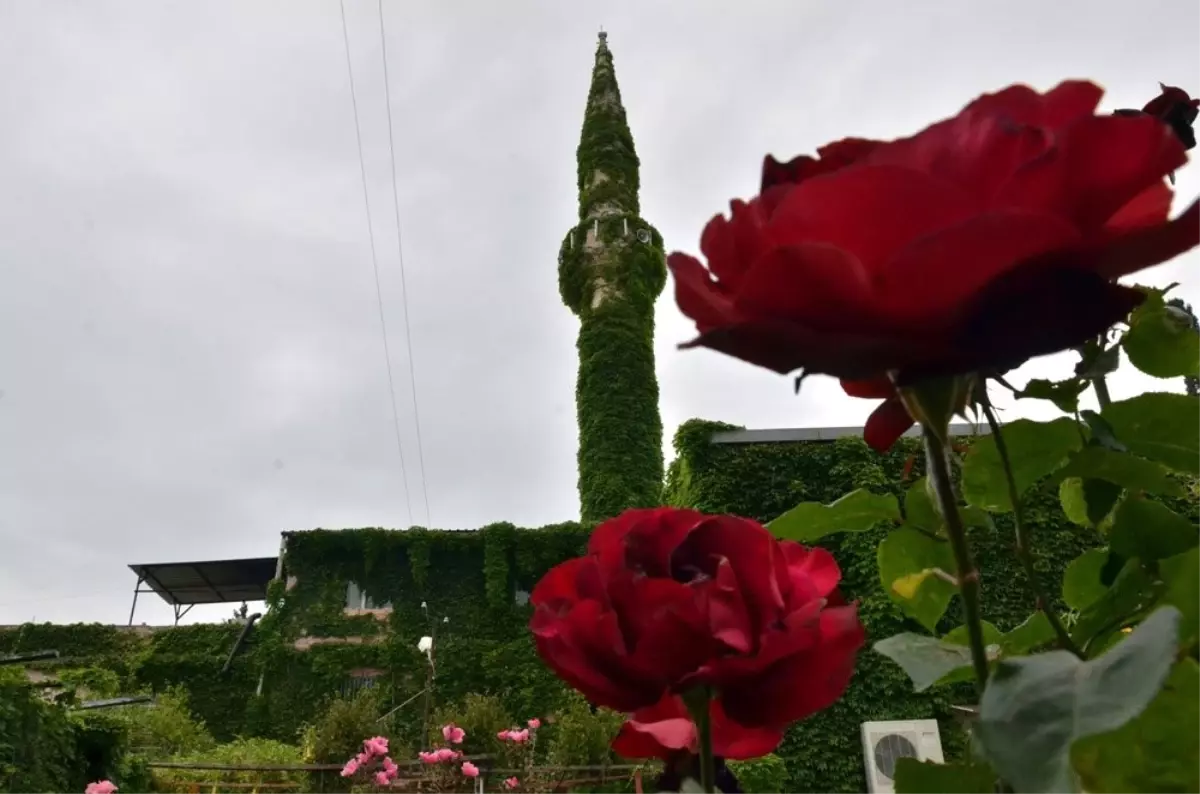 Yeşil Cami' Ramazan'a Hazır