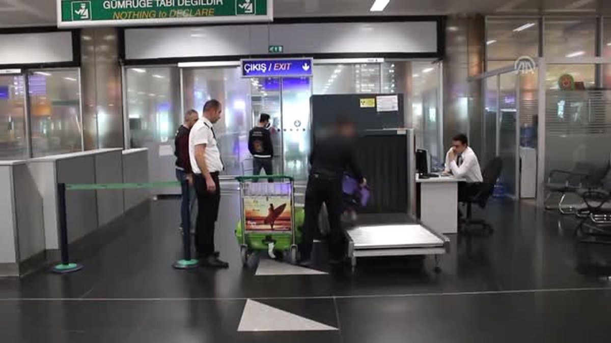 Yurda Kaçak Yollarla Sokulmak İstenen Gelincik Derisi ve Sülük Yakalandı - İzmir /