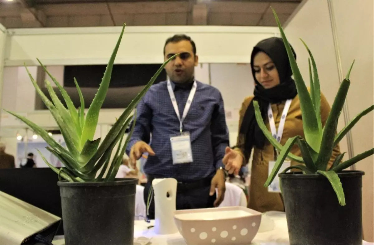 Bu Parfüm Evdeki Radyasyonu Yok Ediyor