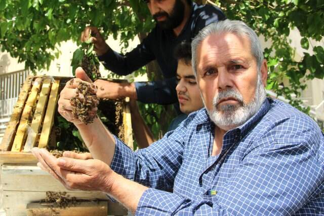 Kovanını Terk Eden Bal Arıları Mahalleyi İstila Etti