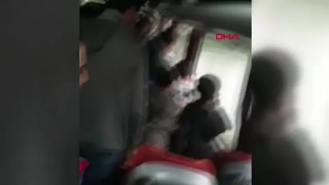 Tokat Hes Kanalına Düşen 2 Karacayı Köylüler Kurtardı