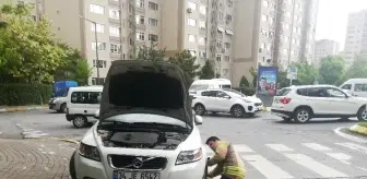 Barış Mahallesi: Aracın Motoruna Sıkışan İnatçı Kediyi 'Kedi Sesi' ile Kurtarma Operasyonu Barış Mahallesi: Aracın Motoruna Sıkışan İnatçı Kediyi 'Kedi Sesi' ile Kurtarma Operasyonu