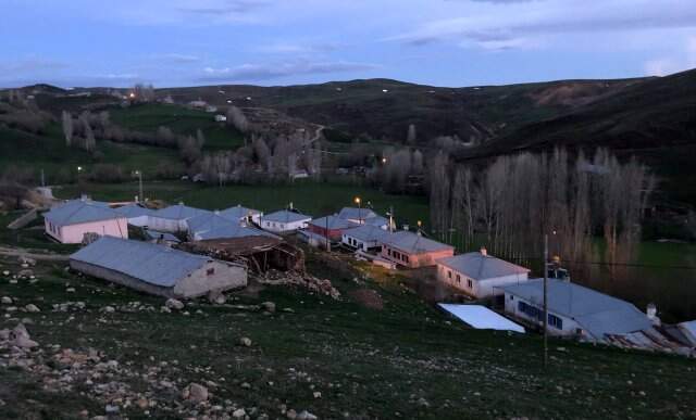 Ayı Korkusu Köylülere Kazma Kürekle Nöbet Tutturdu