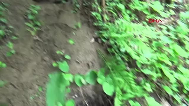 Bartın 2 Bin Yıllık Anıtın Bulunduğu Alanda Kaçak Kazı Bartın 2 Bin Yıllık Anıtın Bulunduğu Alanda Kaçak Kazı