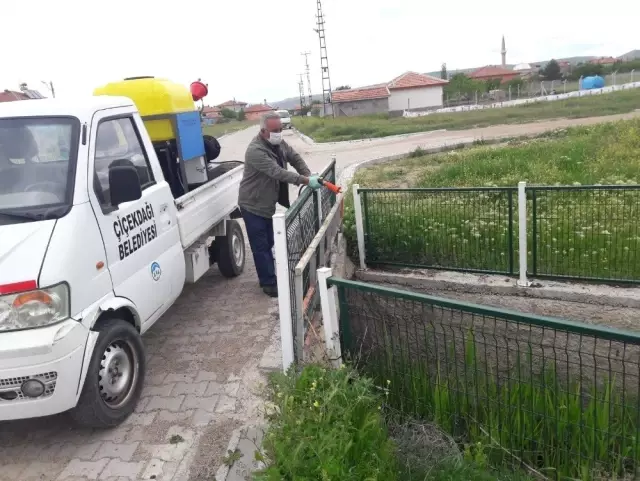Çiçekdağı Belediyesi, Haşere İlaçlama Çalışmalarına Başladı