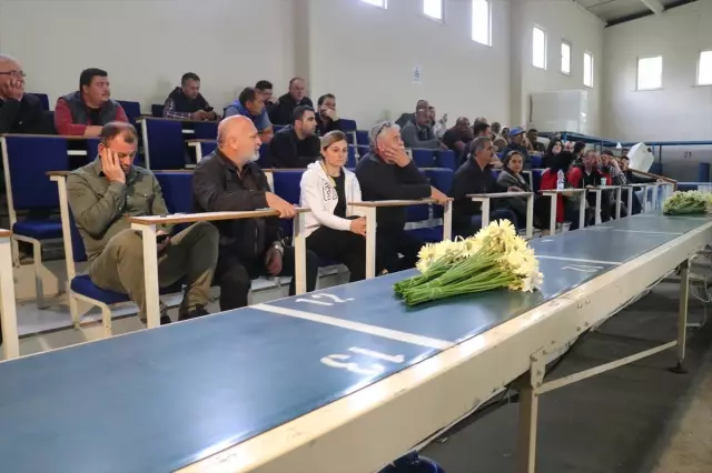Çiçeklerin Mezattan Anne Kucağına Yolculuğu Başladı Çiçeklerin Mezattan Anne Kucağına Yolculuğu Başladı