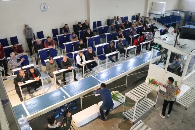 Çiçeklerin Mezattan Anne Kucağına Yolculuğu Başladı Çiçeklerin Mezattan Anne Kucağına Yolculuğu Başladı