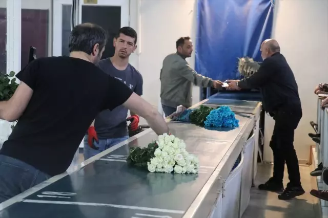 Çiçeklerin Mezattan Anne Kucağına Yolculuğu Başladı Çiçeklerin Mezattan Anne Kucağına Yolculuğu Başladı