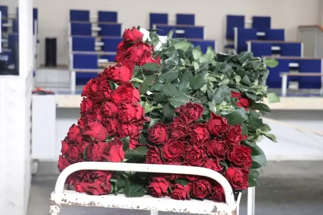 Çiçeklerin Mezattan Anne Kucağına Yolculuğu Başladı Çiçeklerin Mezattan Anne Kucağına Yolculuğu Başladı