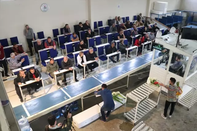 Çiçeklerin Mezattan Anne Kucağına Yolculuğu Başladı Çiçeklerin Mezattan Anne Kucağına Yolculuğu Başladı