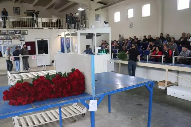 Çiçeklerin Mezattan Anne Kucağına Yolculuğu Başladı Çiçeklerin Mezattan Anne Kucağına Yolculuğu Başladı