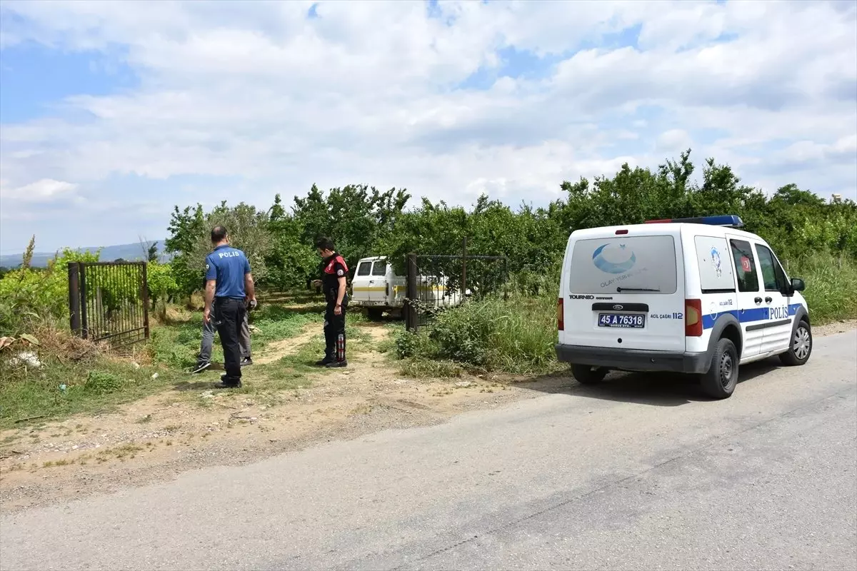 Çiftçiden Önce Hırsızlar Hasat Etti