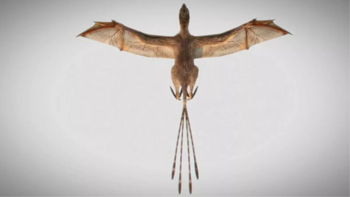 Drogon Sen Misin? Yarasa Kanatlarına Sahip Bir Dinozor Türü Keşfedildi