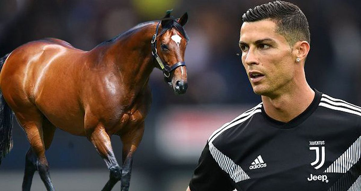 İngiliz Safkan Frankel'in Değeri, Cristiano Ronaldo ile Aynı!